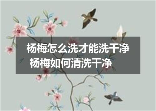 杨梅怎么洗才能洗干净 杨梅如何清洗干净