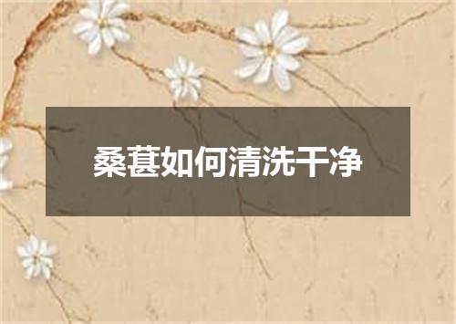 桑葚如何清洗干净