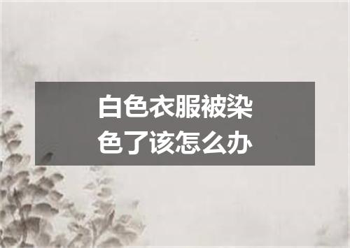 白色衣服被染色了该怎么办