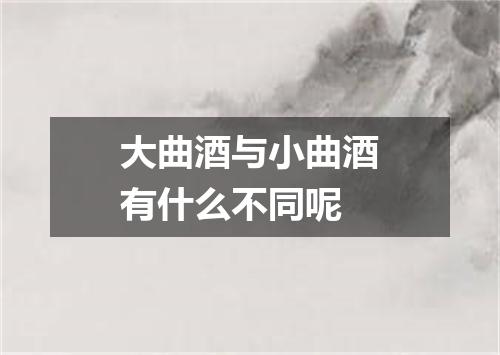大曲酒与小曲酒有什么不同呢