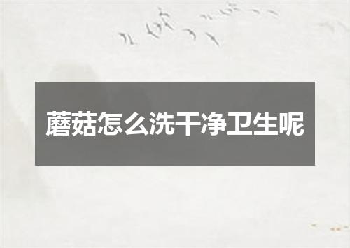 蘑菇怎么洗干净卫生呢