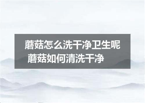 蘑菇怎么洗干净卫生呢 蘑菇如何清洗干净