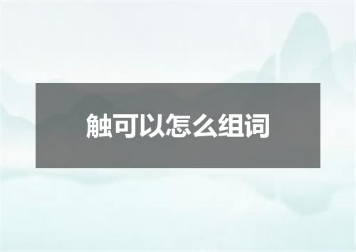 触可以怎么组词