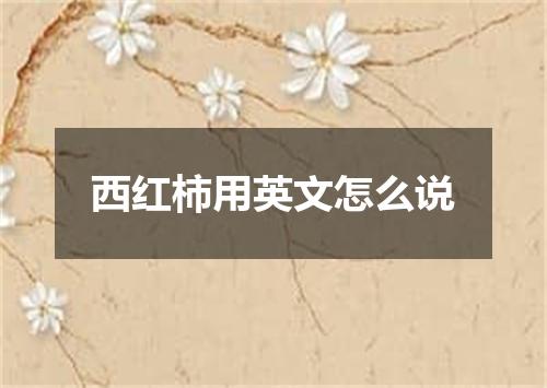 西红柿用英文怎么说