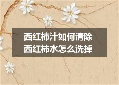 西红柿汁如何清除 西红柿水怎么洗掉