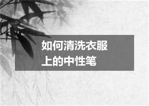 如何清洗衣服上的中性笔