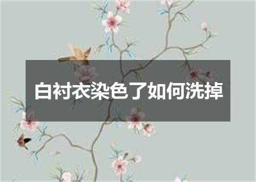 白衬衣染色了如何洗掉