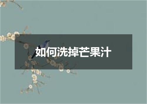 如何洗掉芒果汁