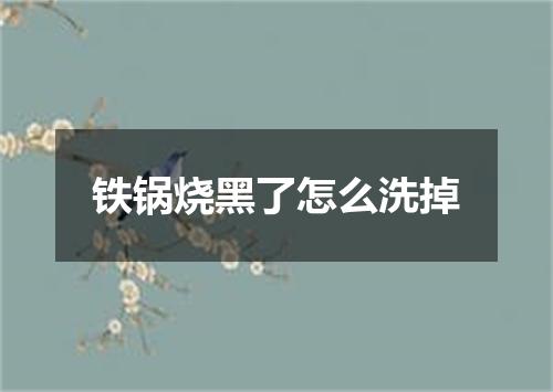 铁锅烧黑了怎么洗掉