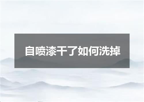 自喷漆干了如何洗掉