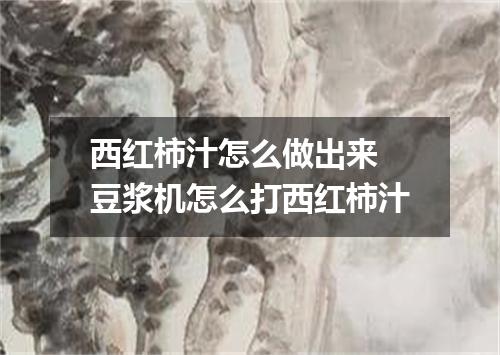 西红柿汁怎么做出来 豆浆机怎么打西红柿汁