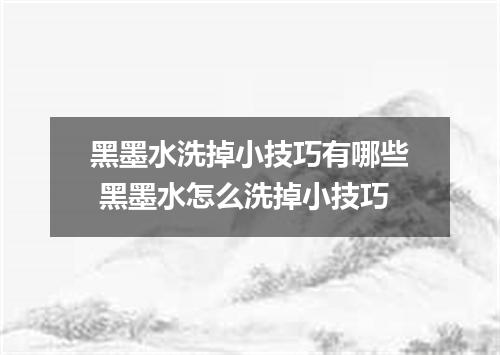 黑墨水洗掉小技巧有哪些 黑墨水怎么洗掉小技巧