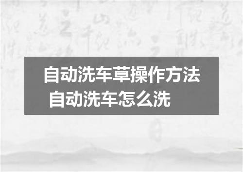 自动洗车草操作方法 自动洗车怎么洗