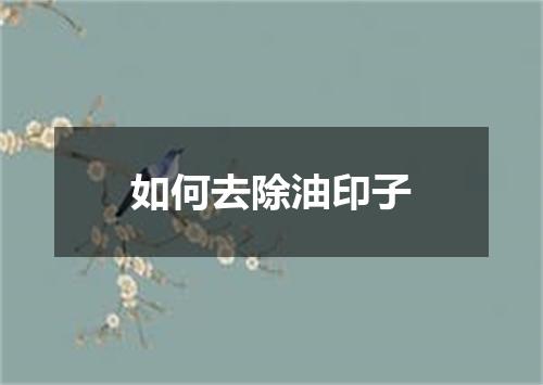如何去除油印子