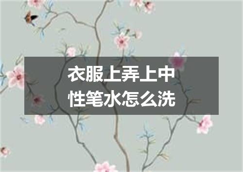 衣服上弄上中性笔水怎么洗