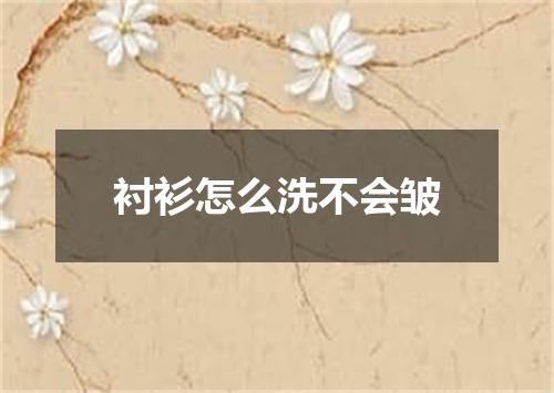 衬衫怎么洗不会皱