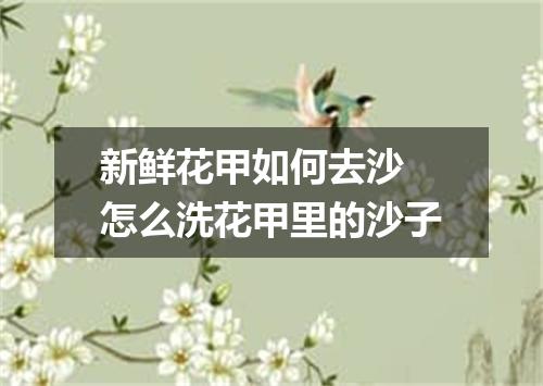 新鲜花甲如何去沙 怎么洗花甲里的沙子