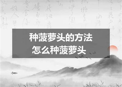种菠萝头的方法 怎么种菠萝头