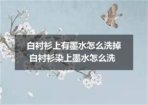 白衬衫上有墨水怎么洗掉 白衬衫染上墨水怎么洗