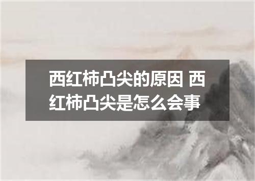 西红柿凸尖的原因 西红柿凸尖是怎么会事