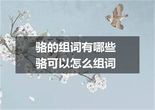 骆的组词有哪些 骆可以怎么组词