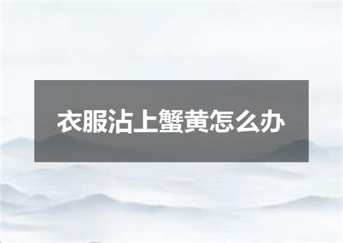 衣服沾上蟹黄怎么办