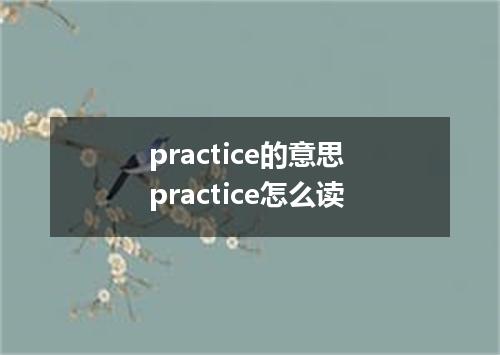 practice的意思 practice怎么读