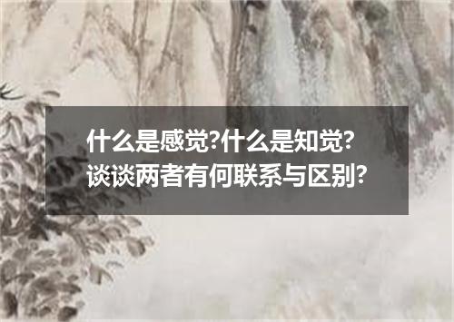 什么是感觉?什么是知觉?谈谈两者有何联系与区别?