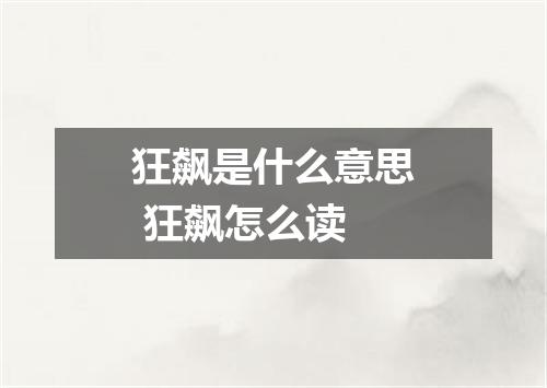 狂飙是什么意思 狂飙怎么读