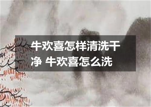 牛欢喜怎样清洗干净 牛欢喜怎么洗