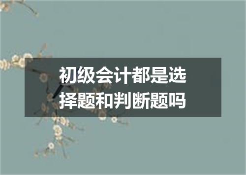 初级会计都是选择题和判断题吗