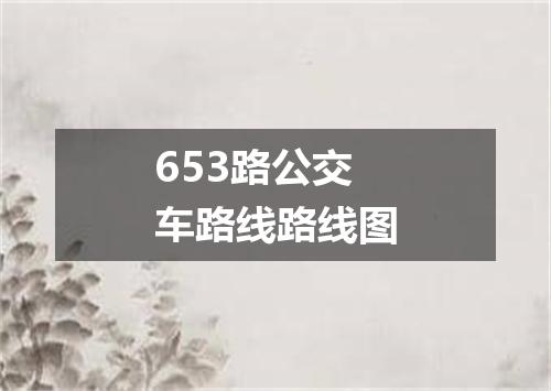 653路公交车路线路线图