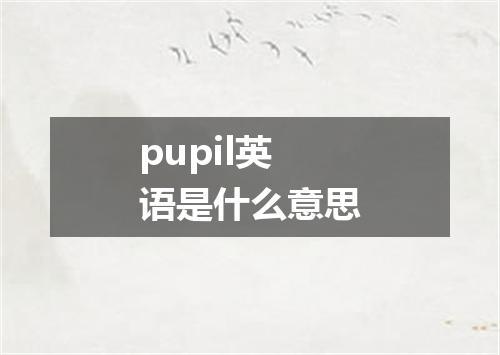 pupil英语是什么意思