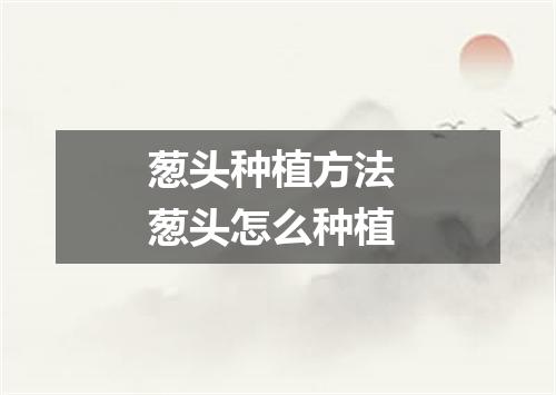 葱头种植方法 葱头怎么种植