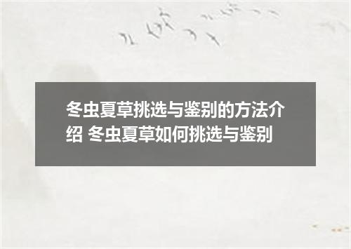 冬虫夏草挑选与鉴别的方法介绍 冬虫夏草如何挑选与鉴别