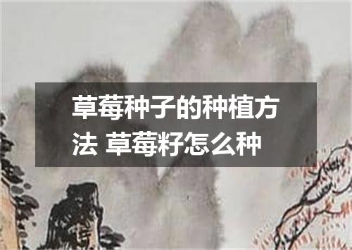 草莓种子的种植方法 草莓籽怎么种