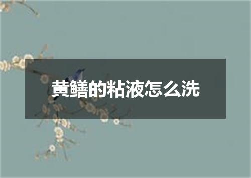 黄鳝的粘液怎么洗