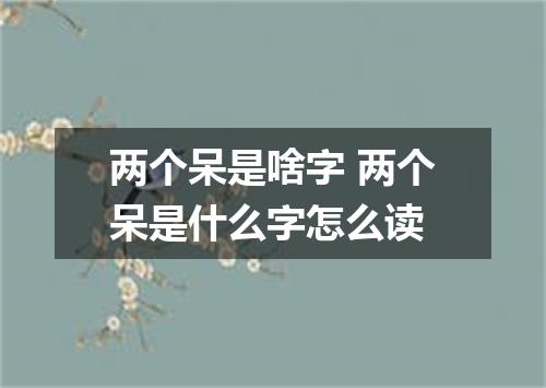 两个呆是啥字 两个呆是什么字怎么读