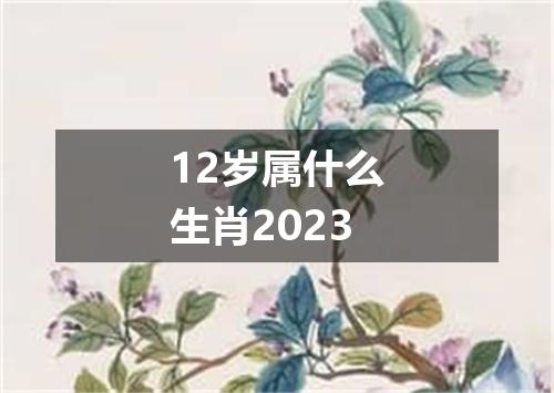 12岁属什么生肖2023