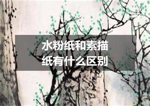 水粉纸和素描纸有什么区别