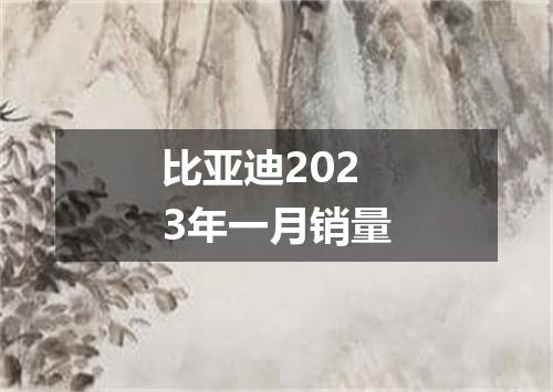 比亚迪2023年一月销量
