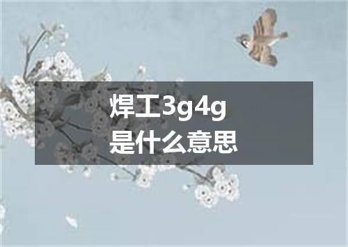 焊工3g4g是什么意思