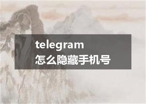 telegram怎么隐藏手机号