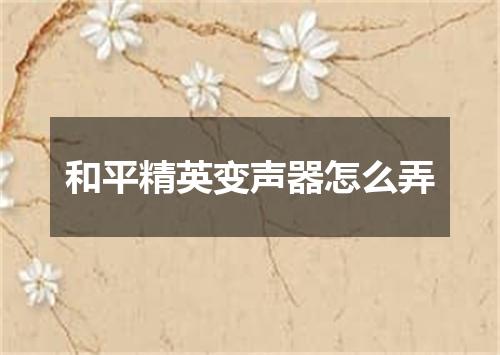 和平精英变声器怎么弄