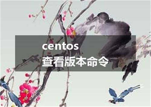 centos查看版本命令