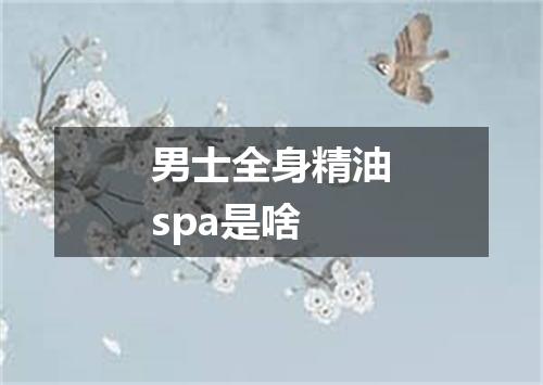 男士全身精油spa是啥