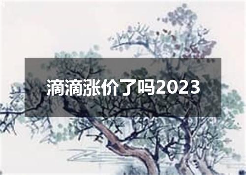滴滴涨价了吗2023