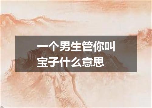 一个男生管你叫宝子什么意思