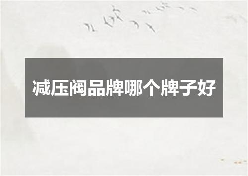 减压阀品牌哪个牌子好