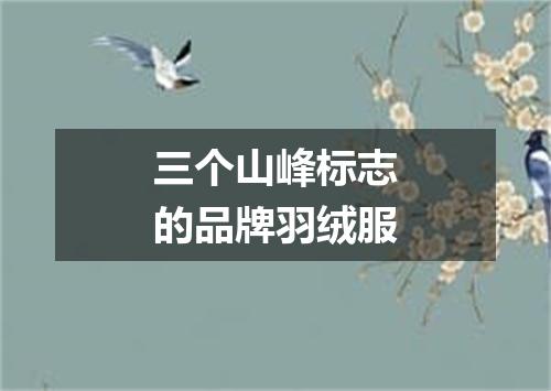 三个山峰标志的品牌羽绒服